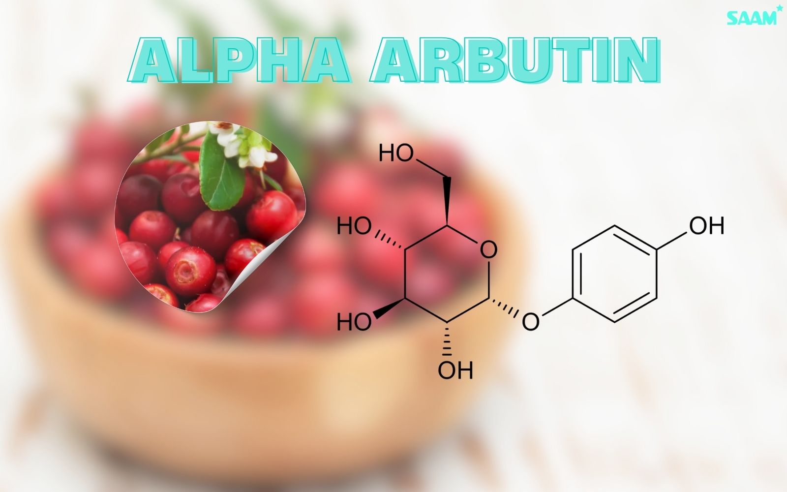 Alpha Arbutin is the top 1 ingredient in dark spots treatment
