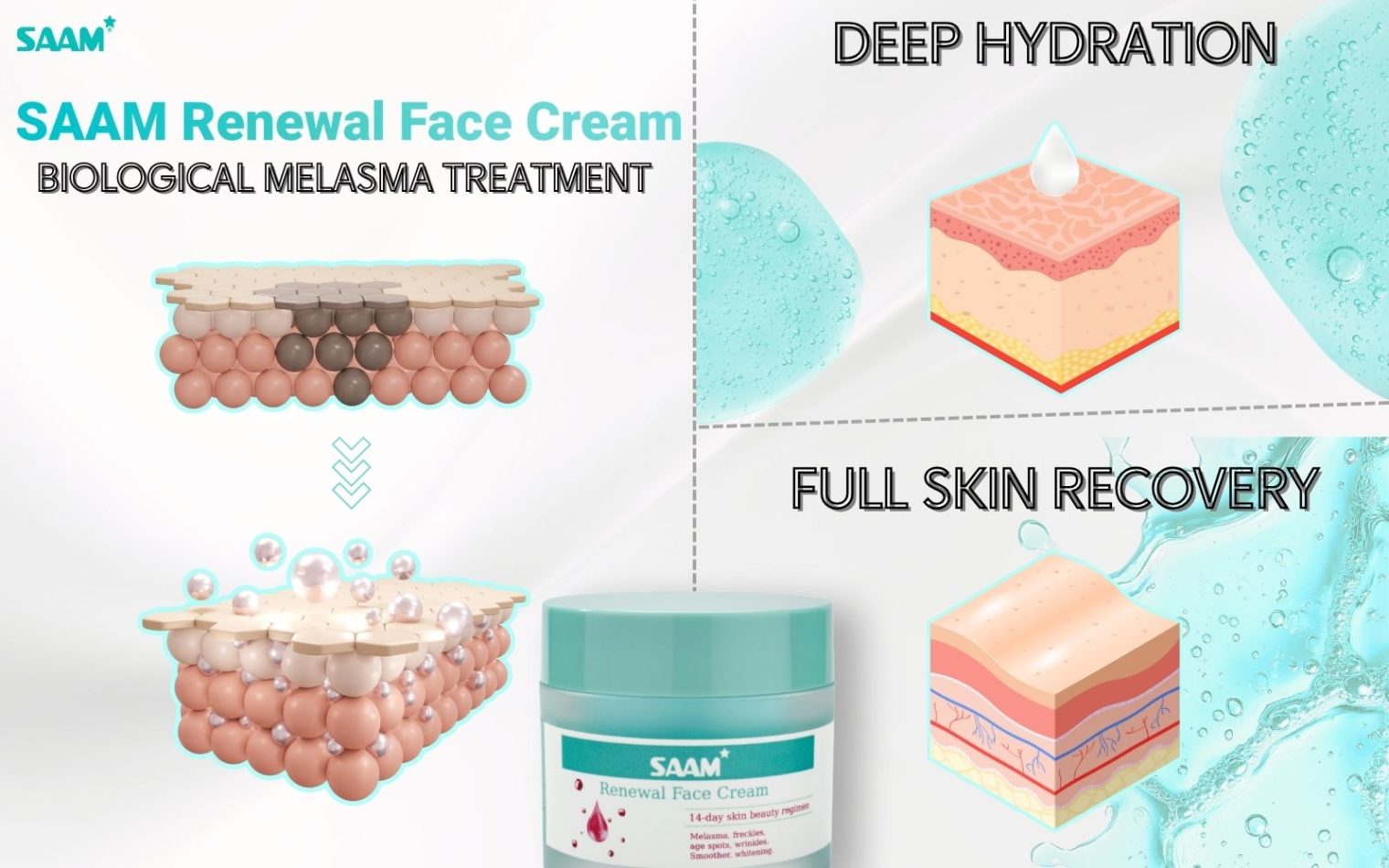Overview of SAAM Renewal Face Cream