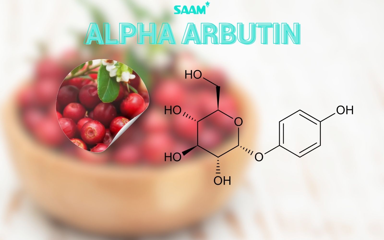 Alpha Arbutin is the top 1 ingredient in dark spots treatment (1)