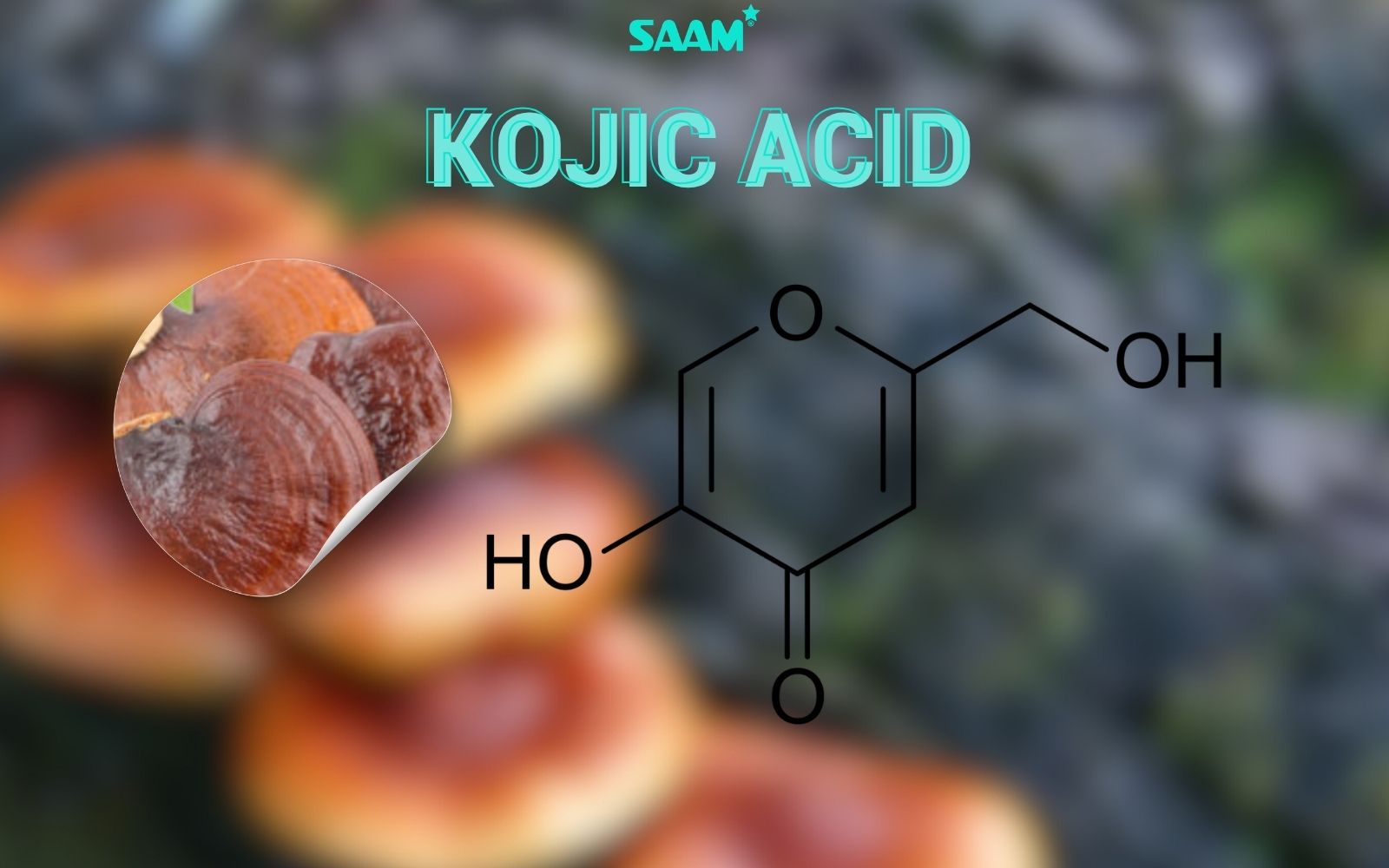 Combining with Kojic Acid is a better choice (1)