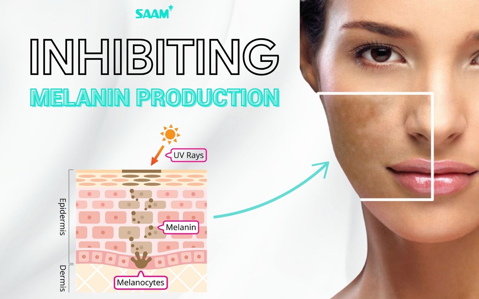 Inhibiting melanin overproduction (1)