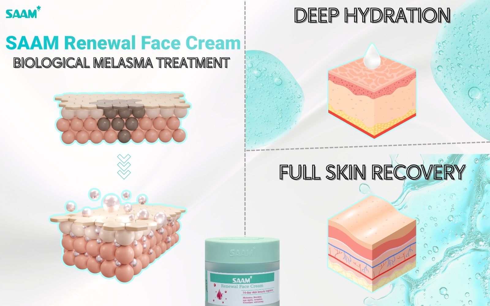 Overview of SAAM Renewal Face Cream